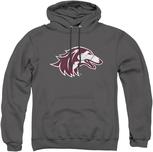 Vista 170 de Distressed College Primary Logo Adult Pullover Hoodie Collection 1 Universidad Estatal de Albany