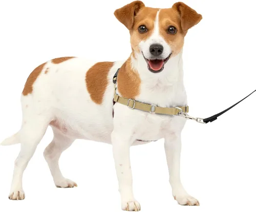 Vista 50 de PetSafe Easy Walk - Arnés para perro, sin tirones, gris carbón Carbón/Negro