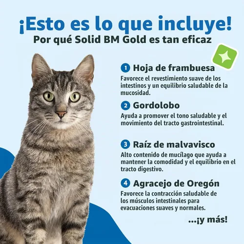 Vista 6 de Pet Wellbeing Solid BM Gold para gatos – Apoya la función digestiva saludable, heces sólidas, movimientos intestinales normales, bayberry