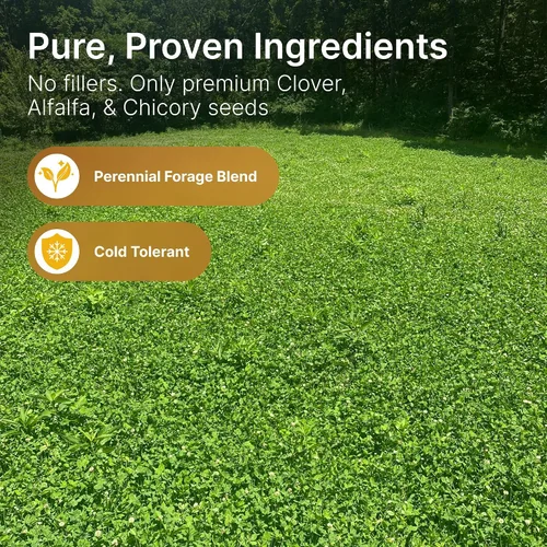 Vista 2 de Semillas de parcela de alimentos de alfalfa + trébol para ciervos [perennes] – Semillas de parcela de alimentos perennes – Mezcla de semillas