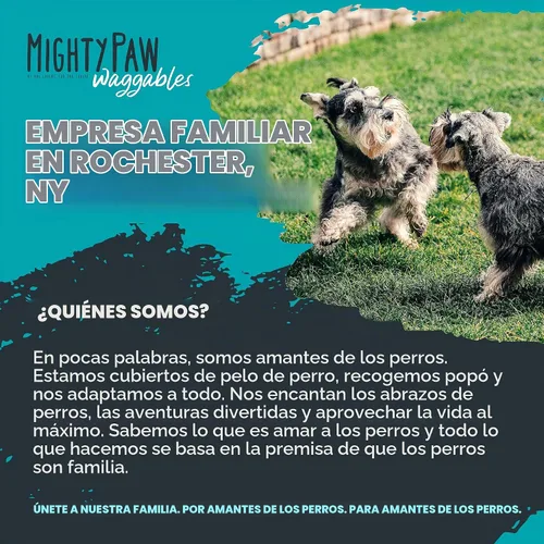 Vista 5 de Mighty Paw Waggables Suplemento de apoyo articular para perros (fabricado en Estados Unidos) Glucosamina para perros Suplemento de cadera