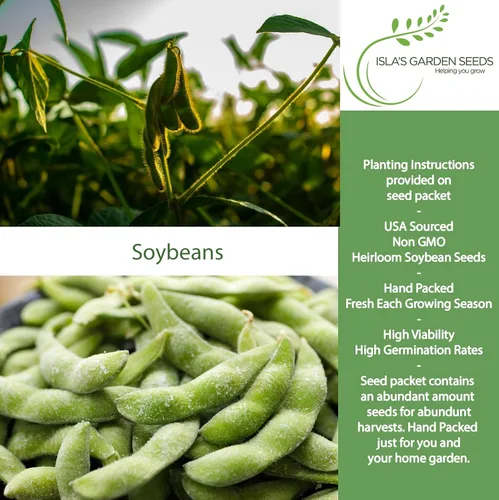 Vista 2 de Semillas de soja (Glycine max) – Más de 25 semillas sin OMG y reliquias de Isla's Garden Seeds, frijoles comestibles nutritivos para cultivo