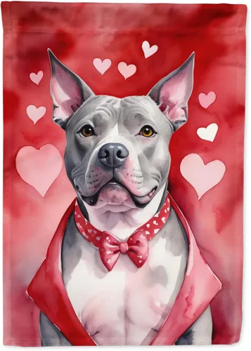 Vista 110 de Caroline's Treasures DAC5252GF Affenpinscher - Bandera de jardín con texto en inglés "My Valentine", bandera decorativa para patio exterior, patio
