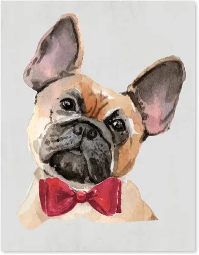 Vista 12 de Andaz Press Póster impreso para pared de perro, 8.5 x 11 pulgadas, Bulldog inglés con gafas negras, 1 paquete, regalo de cumpleaños de Navidad, sin