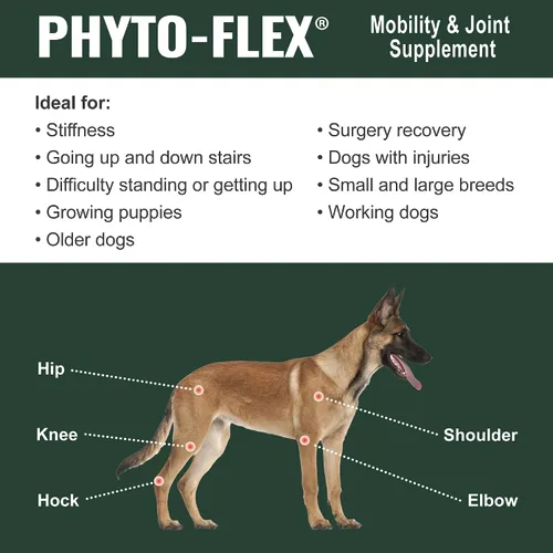 Vista 7 de Dogzymes Phyto Flex - Glucosamina, condroitina, MSM y ácido hialurónico... (8 onzas)