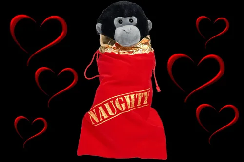 Vista 5 de Christmas You've Been Naughty - Bolsas de regalo de terciopelo (paquete de 12 / 9 x 14 pulgadas)
