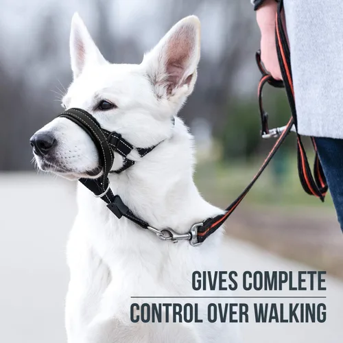 Vista 2 de GoodBoy Cabestro de cabeza de perro con correa de seguridad – Detiene los tirones pesados de la correa – Collar acolchado para perros pequeños