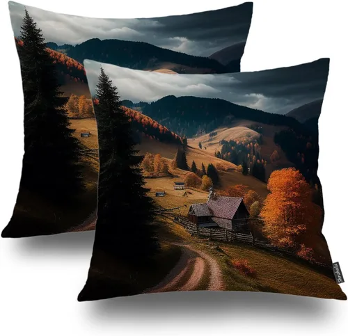 Vista 14 de Shrahala Juego de 2 fundas de almohada decorativas con diseño abstracto y estético moderno, formas fluidas, minimalista, con cremallera oculta