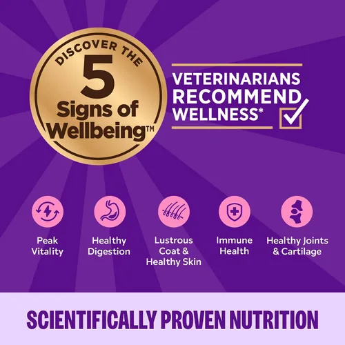 Vista 5 de Wellness Complete Health - Paquete variado de paté de comida húmeda enlatada para gatos adultos, natural, rica en proteínas, sin granos, favoritos