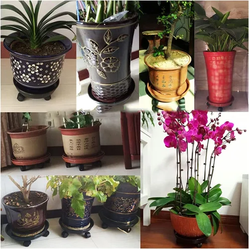 Vista 3 de Soporte para plantas, soporte resistente para plantas con ruedas, organizador redondo para plantas - Estante para macetas al aire libre en rodillos