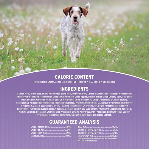 Vista 4 de Annamaet Original Option Formula - Alimento seco para perros, 24% de proteínas (salmón y arroz integral), bolsa de 40 libras