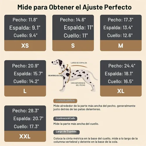 Vista 4 de Queenmore - Suéter de punto trenzado con cuello alto para perros pequeños, para climas fríos, para chihuahua, bulldog, teckel, carlino y yorkie, XS