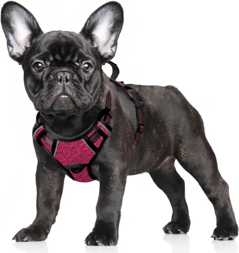 Vista 34 de BARKBAY Arnés para Perro Sin Tirones Talla Grande Arnés Reflectante para Perro con Clip Frontal y Asa de Control Fácil para Caminar Entrenar Correr