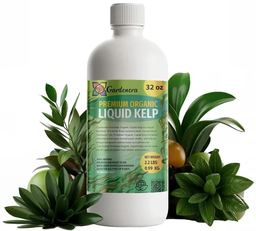 Vista 182 de Fertilizante profesional de palmeras prémium 8-4-8 Plantas en macetas de interior y palmeras de paisaje al aire libre Fertilizante nitrogenado