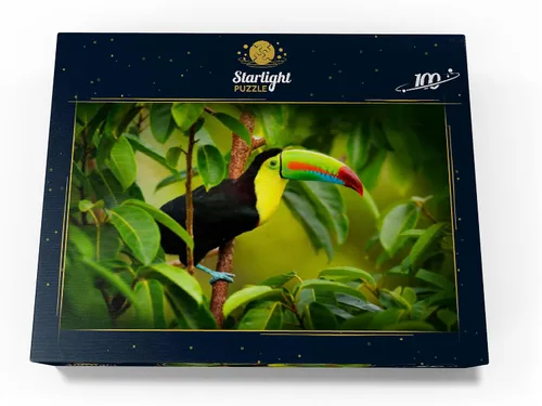 Vista 4 de MyPuzzle Costa Rica Wildlife - Tucán sentado en la rama en el bosque - Rompecabezas premium de 100 piezas para adultos