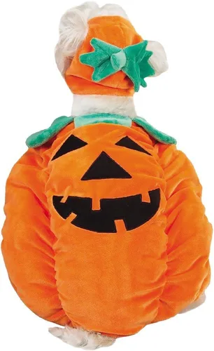 Vista 3 de Zack & Zoey Disfraz de perro de calabaza para perro, talla XS, naranja