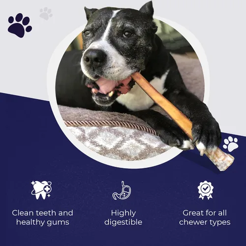 Vista 4 de Devil Dog Pet Co. Palitos Bully Trenzados para Perros – Paquete de 3 Golosinas Masticables de 6 Pulgadas, 100% Naturales, de un Solo Ingrediente