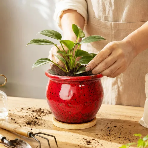 Vista 7 de ARTKETTY Macetas de 4.5 pulgadas con drenaje, pequeñas macetas de cerámica para plantas de interior Rojo