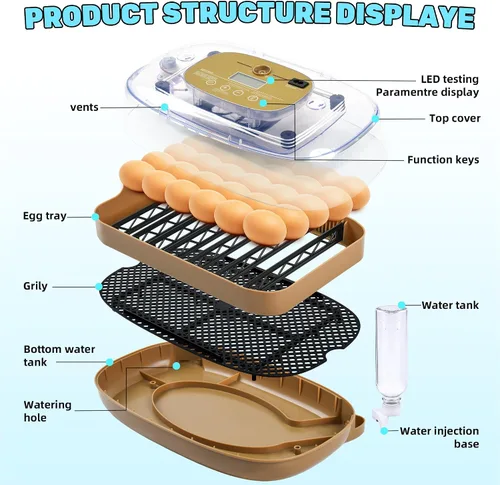 Vista 6 de Ploomi Incubadora de 24 huevos con recarga automática de agua y control de humedad, girador automático de huevos, vela LED integrada, preprogramas