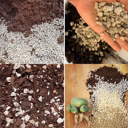 Vista 6 de Piedra pómez hortícola para plantas tamizada profesional (8 cuartos de galón, 1/2 pulgada)