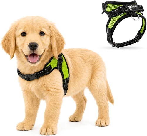 Vista 25 de Arnés ajustable reflectante para perro con asa evita tirones, XXS, Negro