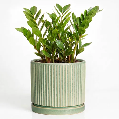 Vista 16 de 8 Inch Flower Pot, Ceramic Planters, Round Plant Pot, Beige