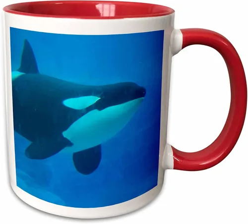 Vista 9 de 3dRose Orca Killer Whale - Taza de cerámica azul subacuática, 11 onzas