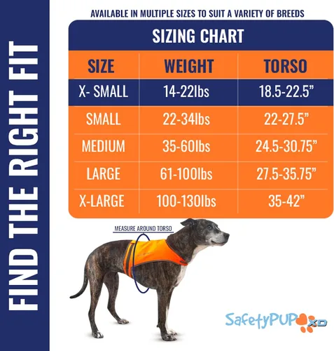 Vista 2 de Chaleco naranja Blaze para perro, edición Lite. Chaqueta reflectante para perro de alta visibilidad con cobertura de espalda media. Chaleco de caza