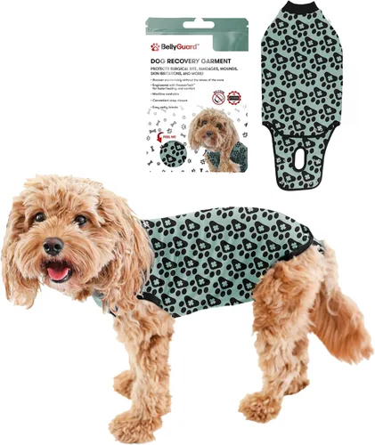 Vista 11 de Traje de Recuperación Quirúrgica BellyGuard para Perros, Mameluco para Perros para Cuidado Post-Operatorio, Ropa de Recuperación para Perros Hembra