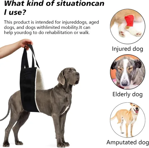 Vista 3 de Hevy Duty Arnés portátil de elevación para perros de 20 a 150 libras, arnés de elevación portátil para patas traseras, arnés de cadera para perros