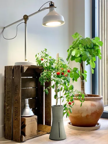 Vista 4 de Botanium Maceta hidropónica y automática para interiores, color gris