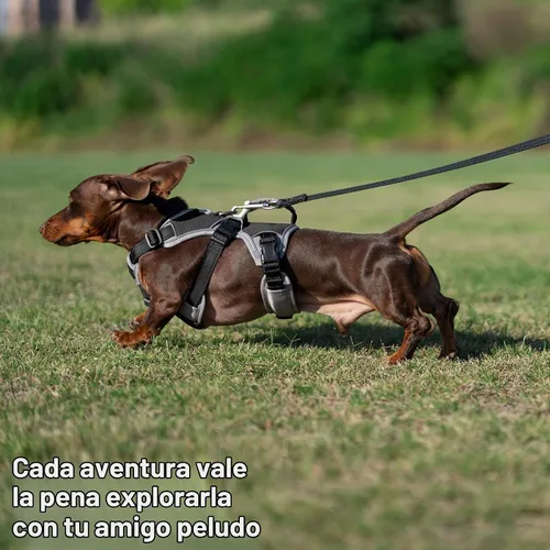 Vista 7 de Huntboo - Arnés para perro a prueba de escape, arnés reflectante con asa, duradero, chaleco ajustable para perros pequeños, medianos y grandes