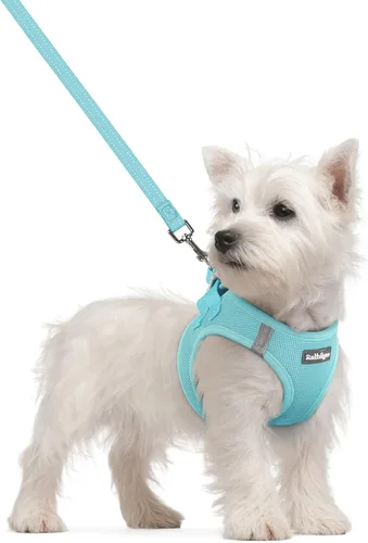 Vista 124 de rabbitgoo Arnés para perro de tamaño pequeño y juego de correa, chaleco Cachorros de manzana