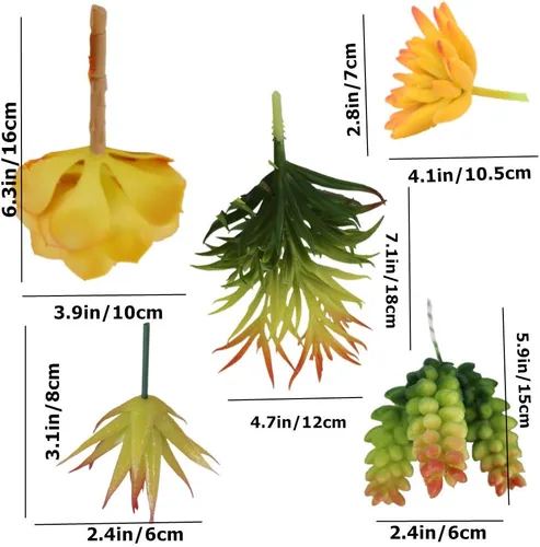 Vista 3 de Zhiheng Plantas suculentas artificiales surtidas (mutil)