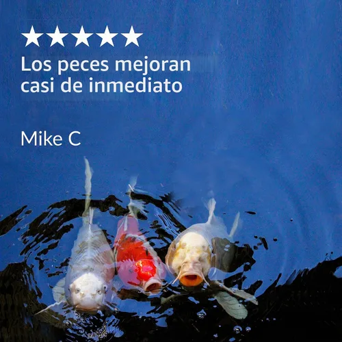 Vista 6 de API POND MELAFIX - Remedio para infecciones bacterianas de peces de estanque, botella de 16 onzas, azul (176B)