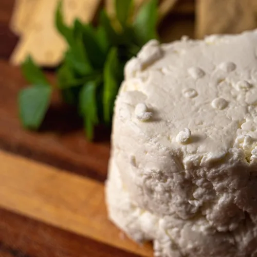 Vista 4 de Cultures for Health Cultivo iniciador de queso mesófilo Queso crema, requesón, mozzarella versátil, sin OMG, sin gluten, crea una variedad