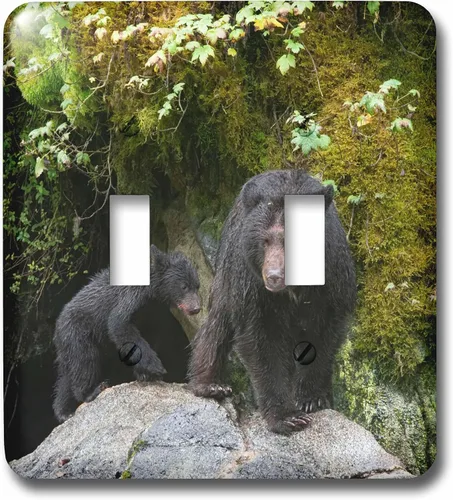 Vista 3 de 3dRose Black bear cub following its mama at Anan Creek. 2 plug outlet cover