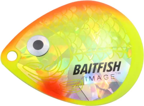 Vista 11 de Northland Tackle Hojas de imagen de pez cebo, varios tamaños