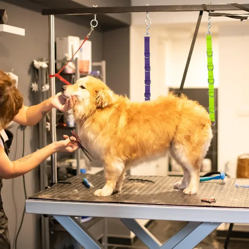 Vista 6 de PEUTIER 2 extensores de aseo para perros, de nailon de liberación rápida, correas ajustables para la mesa de aseo de perros, correas de mesa