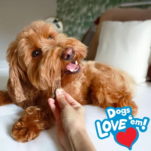 Vista 3 de Nylabone Nubz - Golosinas masticables naturales para perros pequeños, huesos masticables para perros de larga duración, hechos en los Estados