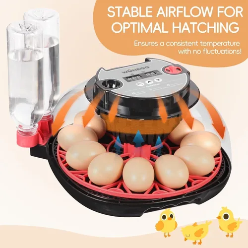 Vista 6 de ZEMIRO CHARGE Incubadora de 12 huevos con giro automático, control de humedad, vela LED para huevos, y adición automática de agua, para incubar