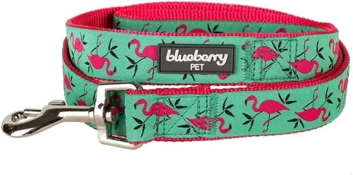 Vista 12 de Blueberry Pet 10+ Patrones Zoo Fun Collar de perro