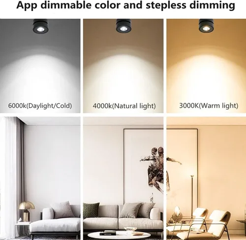 Vista 5 de Foco de techo LED regulable – 360° ajustable en superficie de atenuación de 12 W COB iluminación de techo interior Downlight de pared de aluminio