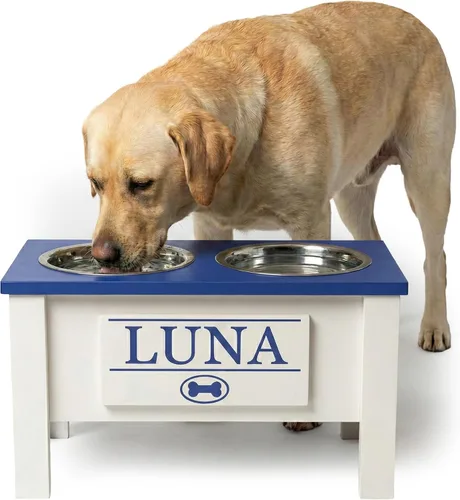 Vista 17 de GTW Soporte de Cuenco Elevado Personalizado para Perros Grandes, Medianos, Pequeños y Extra Pequeños - Cuencos de Acero Inoxidable para Comida