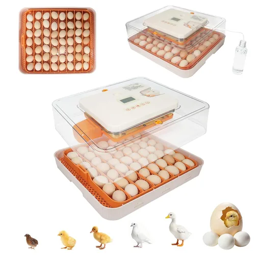 Vista 12 de Gen II - Incubadora automática de 12 huevos, humedad de dos etapas con recarga automática y control de temperatura estable, giro automático