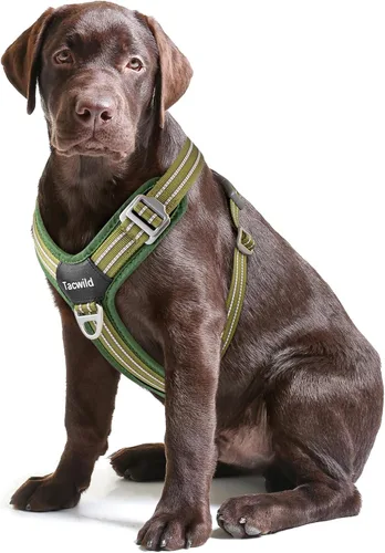 Vista 24 de Arnés sin tirones para perro, chaleco reflectante ajustable con broche de metal, malla suave transpirable sin estrangulamiento para cachorro, fácil