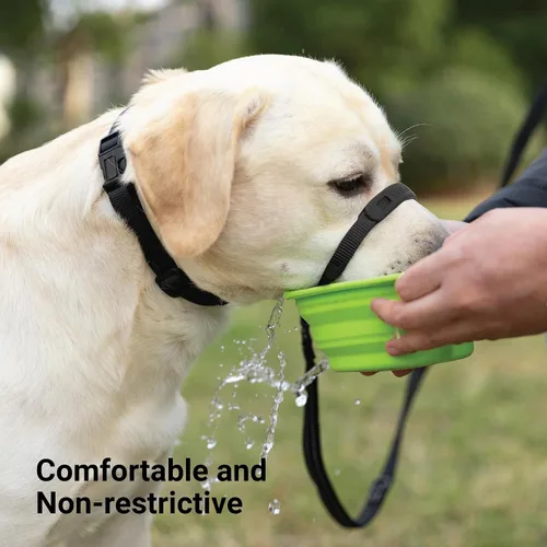 Vista 6 de SVD.PET Collar de cabeza de perro sin tirones para paseos más fáciles, protector a prueba de mordeduras para aumentar la comodidad, diseño simple