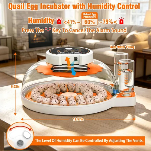 Vista 5 de Incubadora de huevos de codorniz con girador automático y control de humedad, incubadora de aves capaz de incubar 40 huevos de codorniz, incubadoras