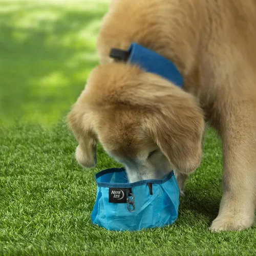 Vista 6 de Nite IZE RadDog - Cuenco plegable para perros, cuenco ligero para alimentos y agua
