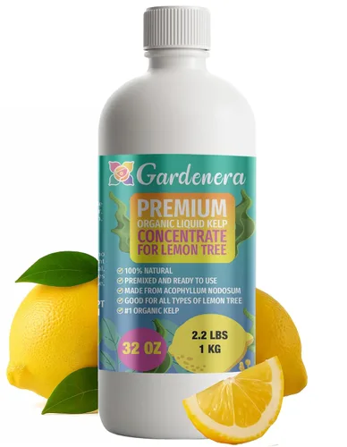 Vista 51 de GARDENERA Superalimento orgánico prémium de algas marinas y algas marinas para plantas AROID - 32 oz - Concentrado de fertilizante líquido de algas